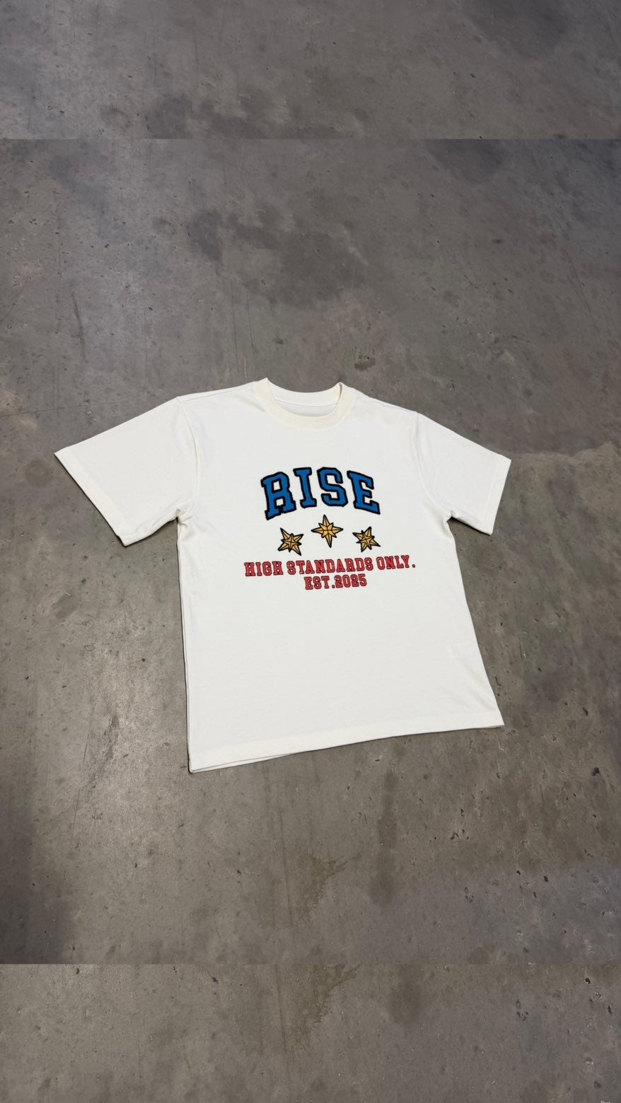 "HIGH STANDARDS ONLY" TEE